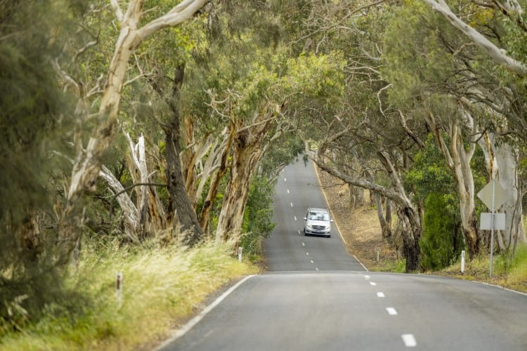 On tour in the back-country roads of McLaren Vale