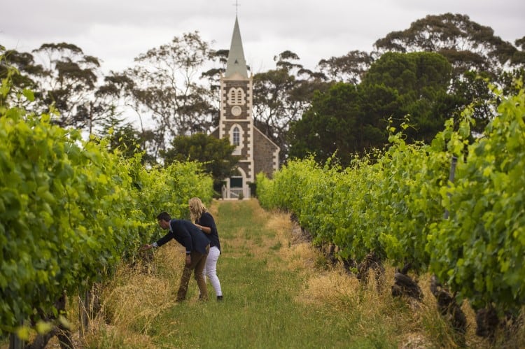Exploring the Hill of Grace Vineyard at Henschke in the Barossa